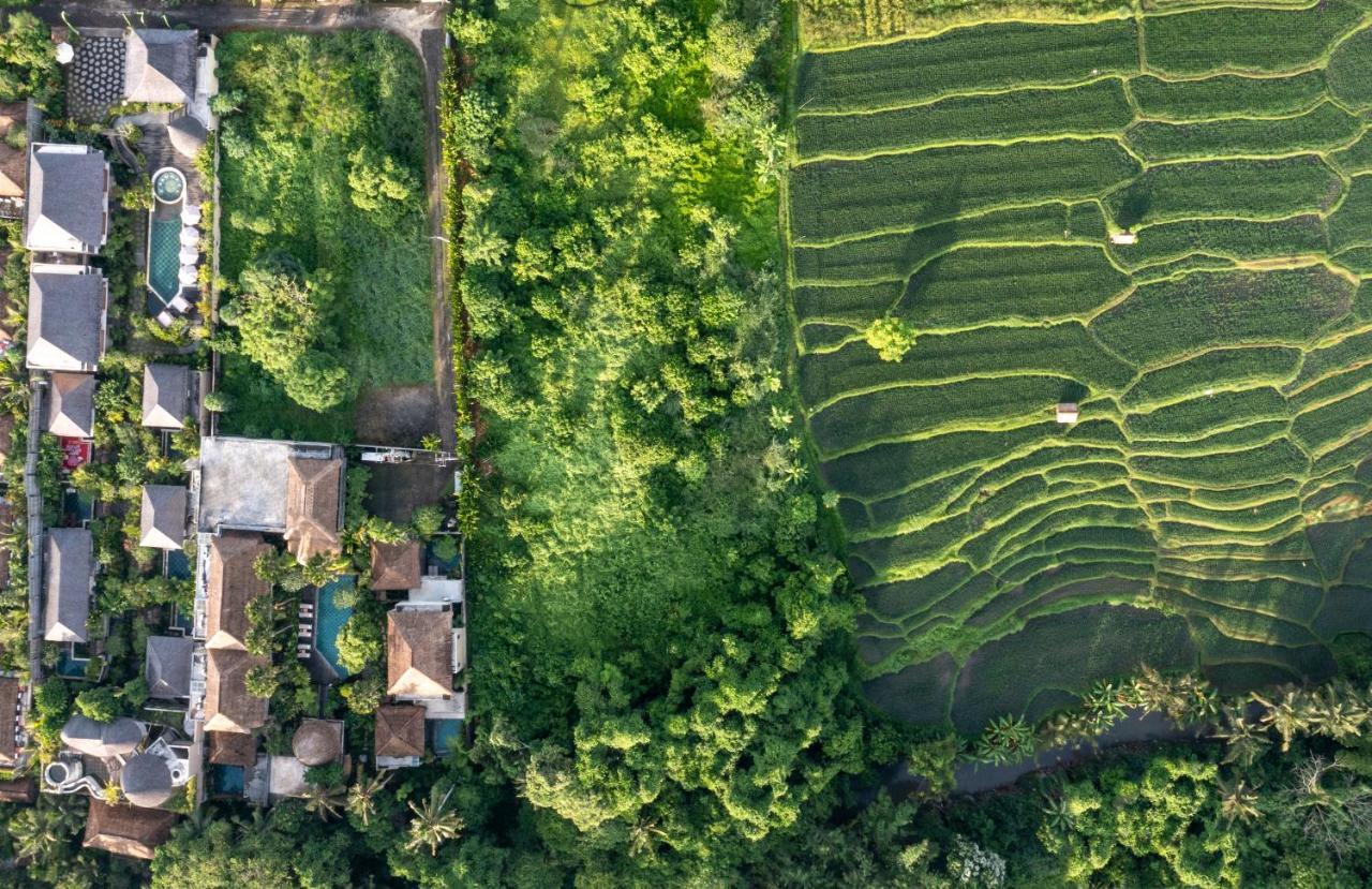 The Alena Resort A Pramana Experience Ubud Exteriör bild