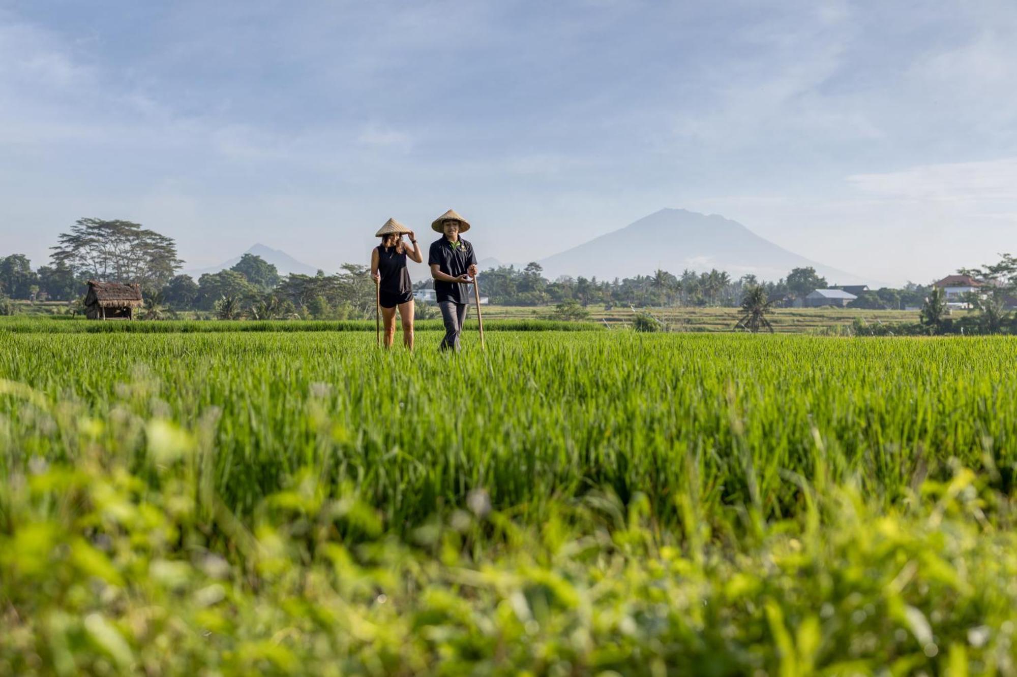 The Alena Resort A Pramana Experience Ubud Exteriör bild